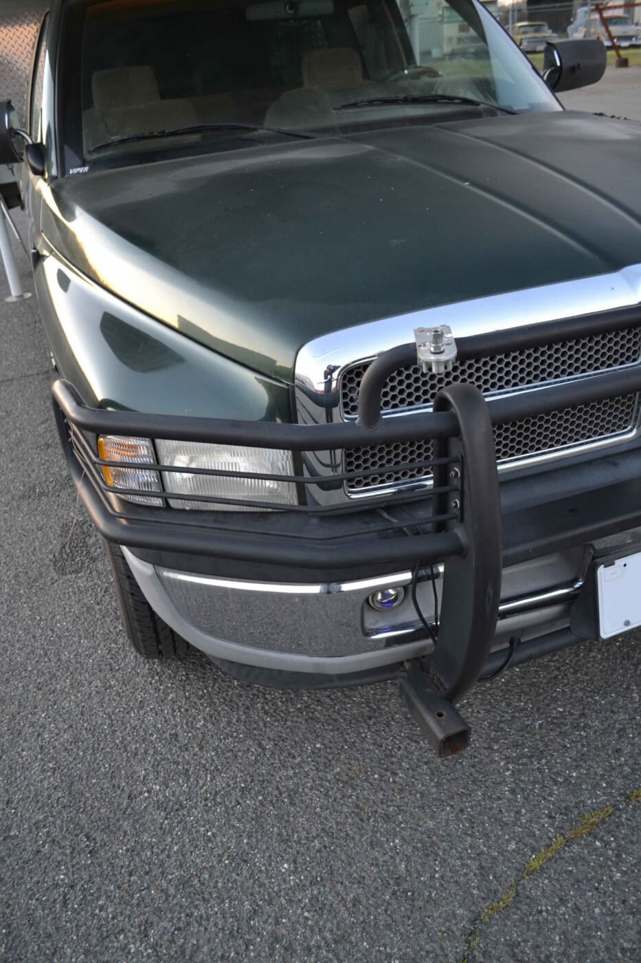 grille guard