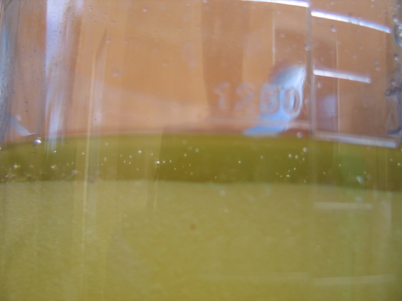 8. Shown is the separation of the glycerin (bottom) and the biofuel (top) after only an hour or so. After the two days have elapsed, the layers will have greatly increased. Open the container and pour off the biofuel that is floating on the top of the glycerin. 